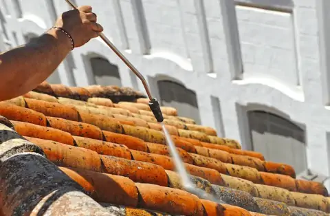 Nettoyage de toitures - Boz